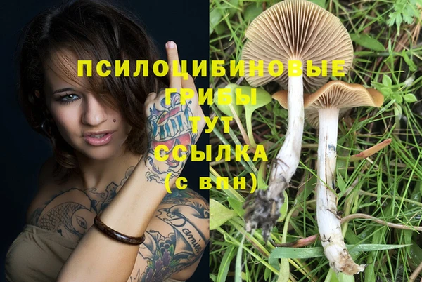 каннабис Осташков