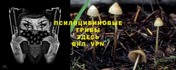 каннабис Осташков